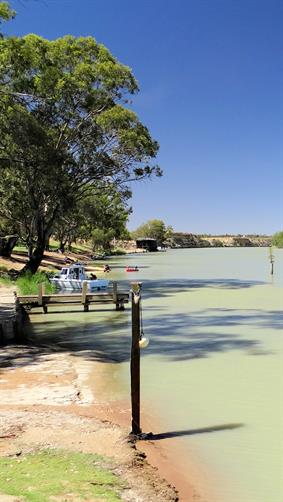 Murray River, Morgan, SA.